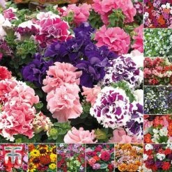 Bumper Garden Collection -Outlet Hompson-morgan Store BUMP KB3121 E3