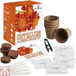 Pollinator Flowers Growing Kit -Outlet Hompson-morgan Store PERF TKA1544 B1