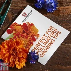 Pollinator Flowers Growing Kit -Outlet Hompson-morgan Store PERF TKA1544A C