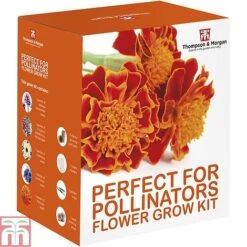 Pollinator Flowers Growing Kit -Outlet Hompson-morgan Store PERF TKA1544A D