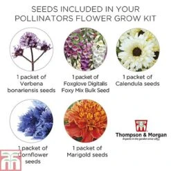 Pollinator Flowers Growing Kit -Outlet Hompson-morgan Store POLL TKA1544 E