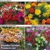 Garden Ready Bedding Collection -Outlet Hompson-morgan Store group3