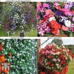 Bumper Garden Collection -Outlet Hompson-morgan Store z BUMP KB3121 B